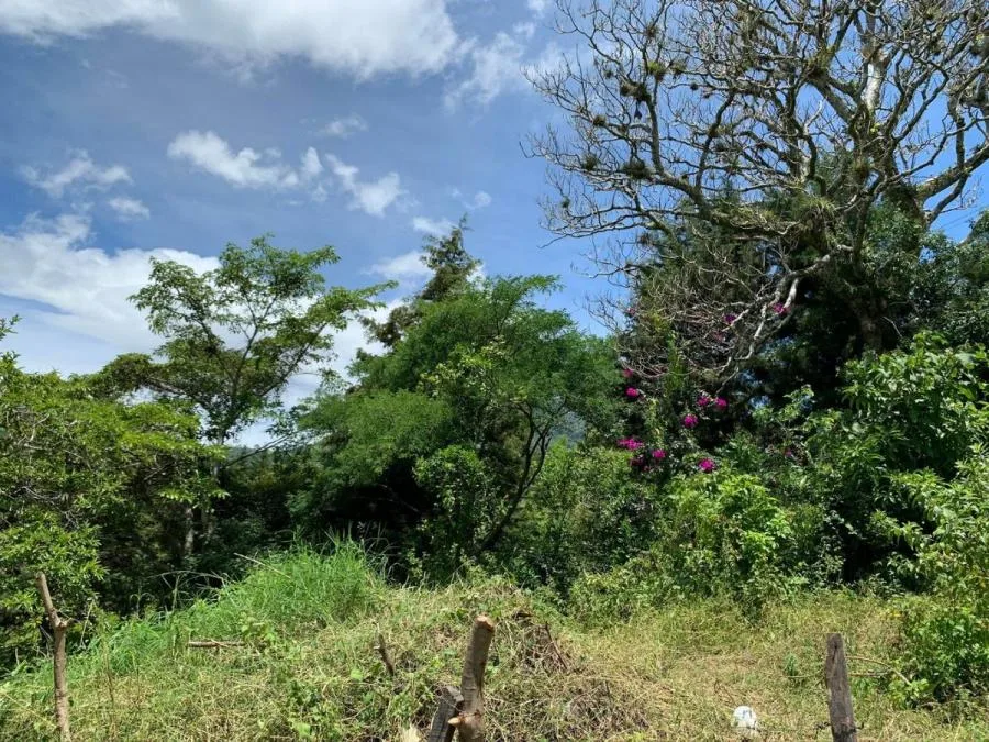 Venta de Lote en San Antonio, Escazú. - Venta en Escazú, photo 10