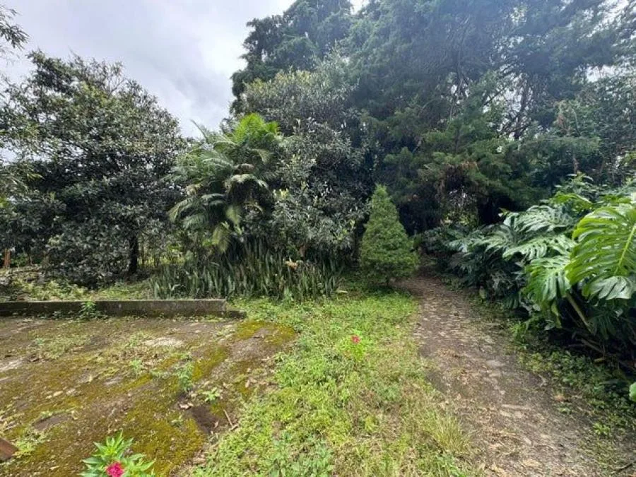 Lotes en Venta en Miravalles con Vista al Valle y Pozo Priva - Venta en Perez Zeledón, photo 11