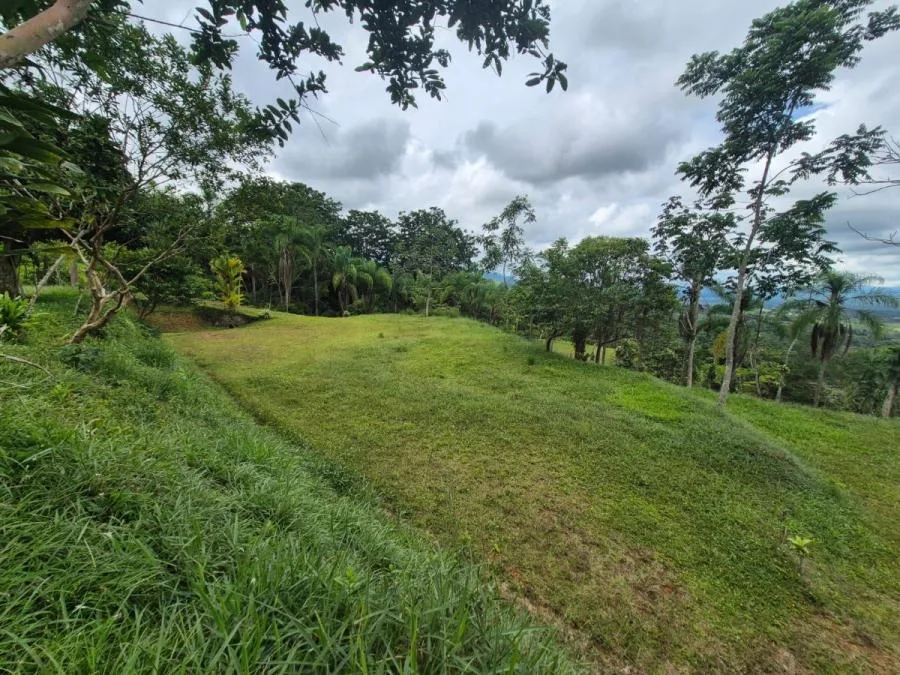 Lotes en Venta en Miravalles con Vista al Valle y Pozo Priva - Venta en Perez Zeledón, photo 8