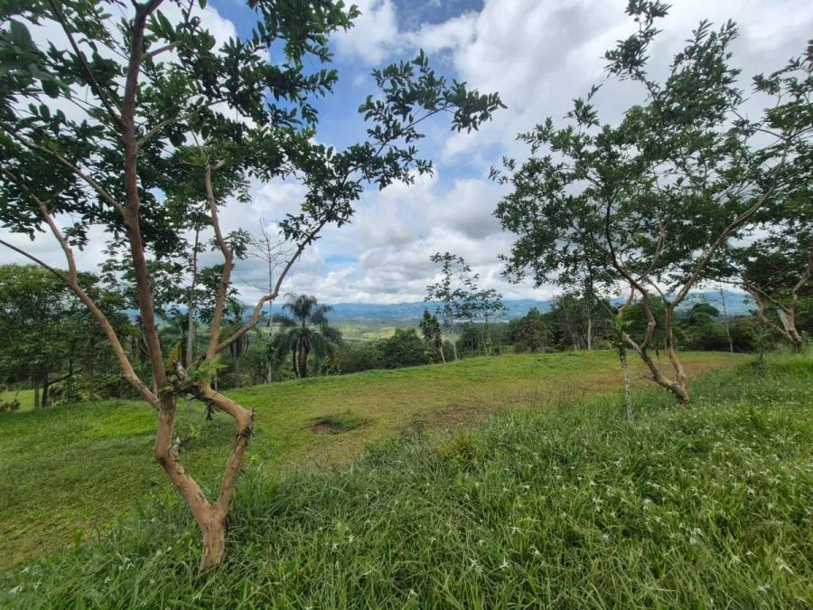 Lotes en Venta en Miravalles con Vista al Valle y Pozo Priva - Venta en Perez Zeledón, photo 9