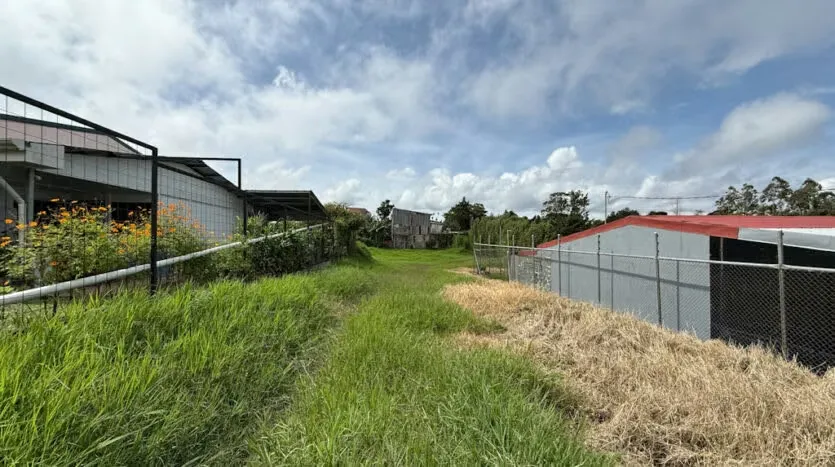 Residential Lot for Sale in a Beautiful Area, photo 3