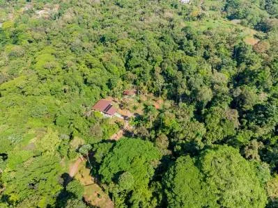 PROPERTY WITH 4 BEDROOM HOME, IN OJOCHAL – 12 ACRES, photo 29
