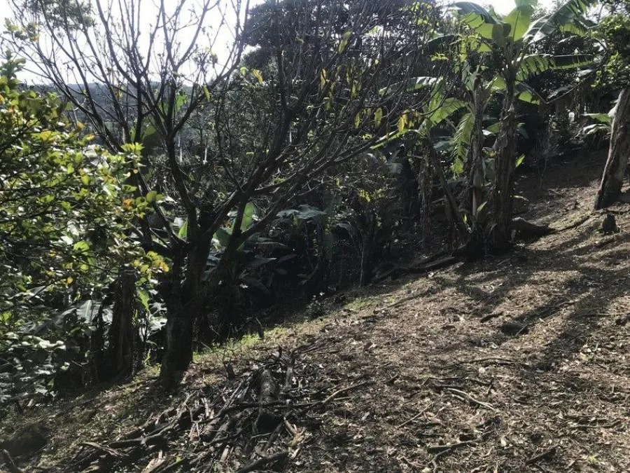 Venta de Lote en Piedades, Santa Ana. RAH 25-578 - Venta en Piedades, photo 2
