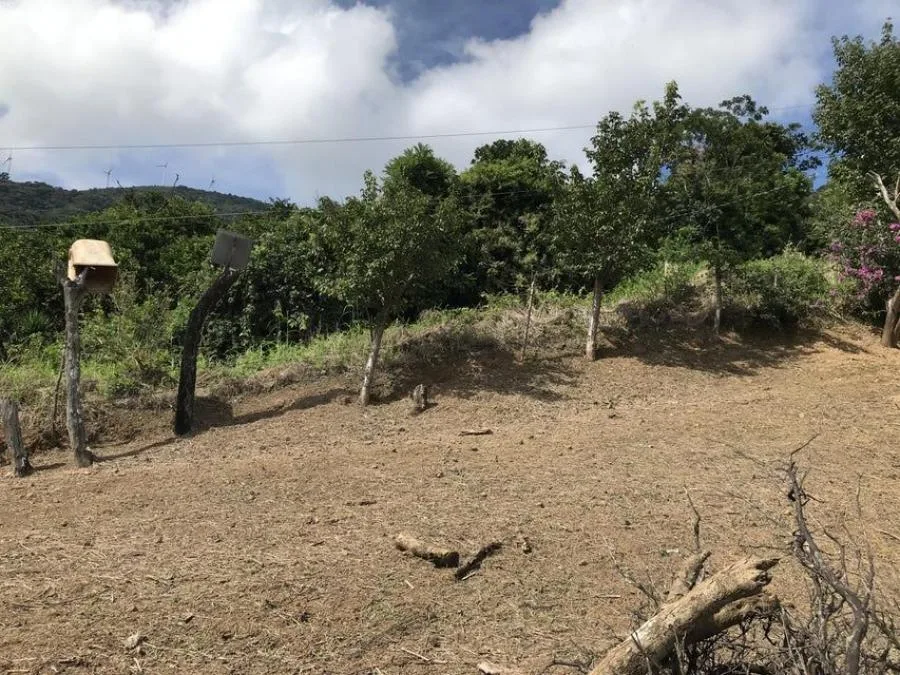 Venta de Lote en Piedades, Santa Ana. RAH 25-578 - Venta en Piedades, photo 5