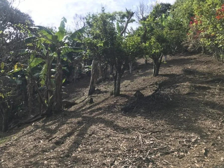 Venta de Lote en Piedades, Santa Ana. RAH 25-578 - Venta en Piedades, photo 7