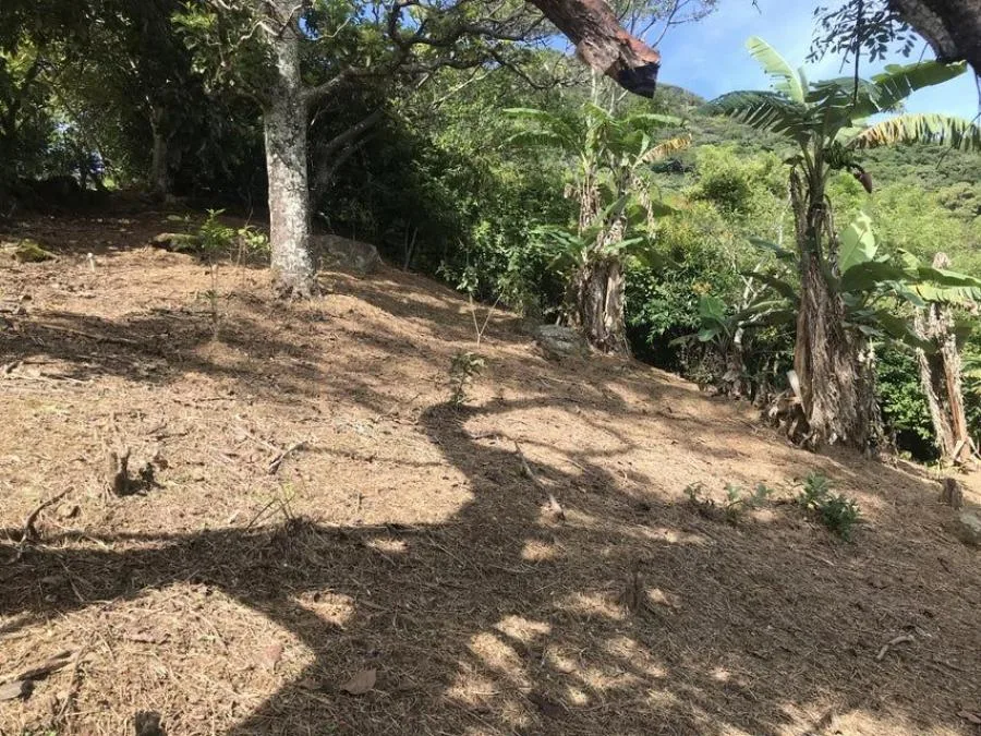 Venta de Lote en Piedades, Santa Ana. RAH 25-578 - Venta en Piedades, photo 8