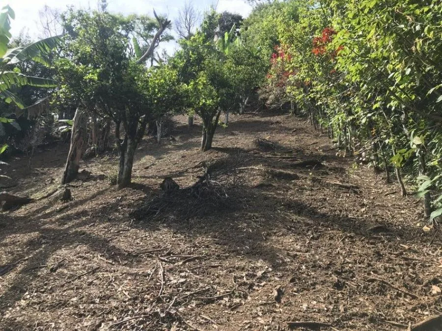 Venta de Lote en Piedades, Santa Ana. RAH 25-578 - Venta en Piedades, photo 9