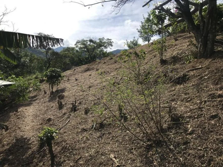 Venta de Lote en Piedades, Santa Ana. RAH 25-578 - Venta en Piedades, photo 10