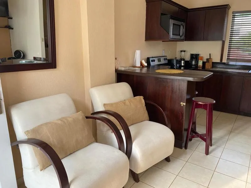 2 Bed Condo For Sale in Tamarindo, photo 9