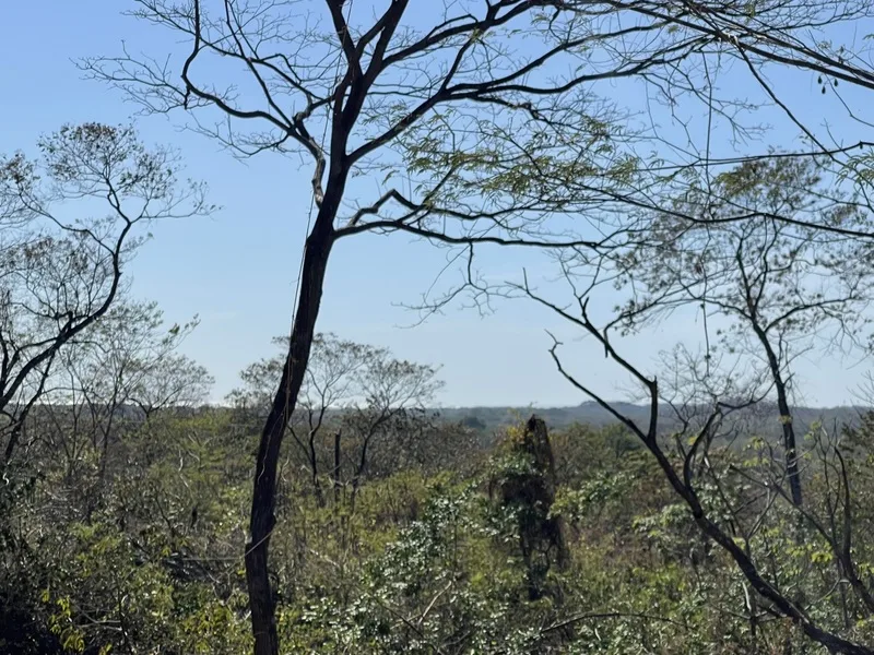 Land For Sale in Tamarindo, photo 10