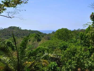 Increible lote de 3.92 acres con vista al mar y montaña en el centro de Ojochal, photo 2