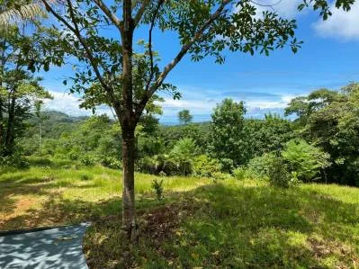 Increible lote de 3.92 acres con vista al mar y montaña en el centro de Ojochal, photo 3