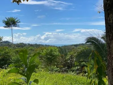 Increible lote de 3.92 acres con vista al mar y montaña en el centro de Ojochal, photo 4