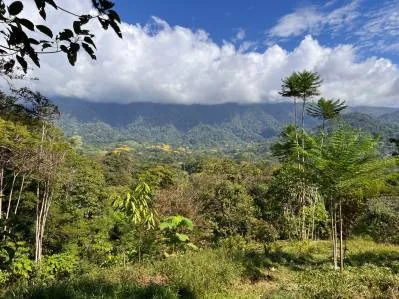 Increible lote de 3.92 acres con vista al mar y montaña en el centro de Ojochal, photo 6