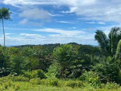 Increible lote de 3.92 acres con vista al mar y montaña en el centro de Ojochal, photo 7