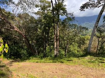 Increible lote de 3.92 acres con vista al mar y montaña en el centro de Ojochal, photo 9