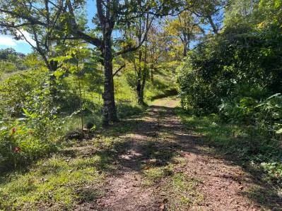 Increible lote de 3.92 acres con vista al mar y montaña en el centro de Ojochal, photo 10