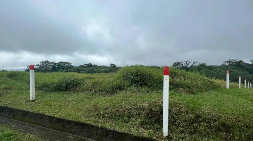 Land for Sale – Ideal to Build Your Home in the Heart of the Forest, photo 11