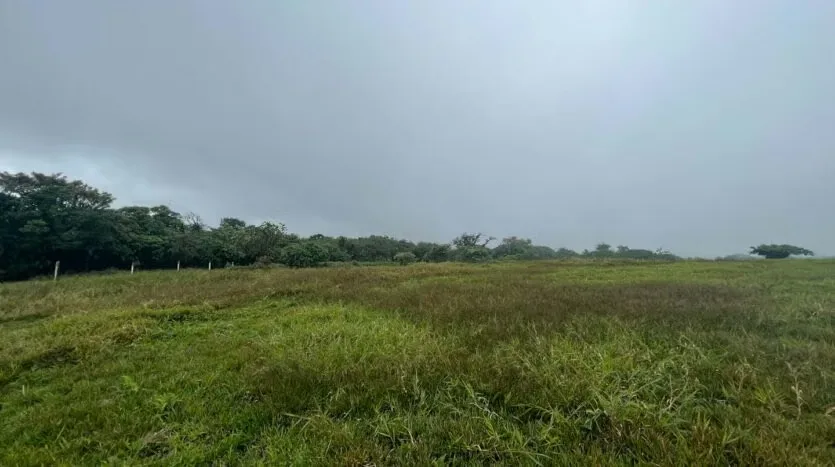 Land for Sale – Ideal to Build Your Home in the Heart of the Forest, photo 13