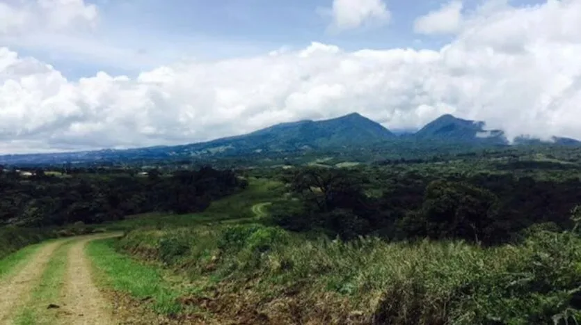 Land for Sale – Ideal to Build Your Home in the Heart of the Forest, photo 14