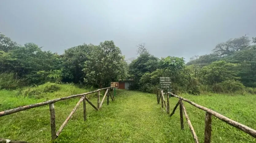 Land for Sale – Ideal to Build Your Home in the Heart of the Forest, photo 4