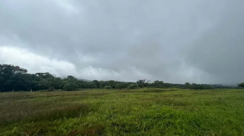 Land for Sale – Ideal to Build Your Home in the Heart of the Forest, photo 5