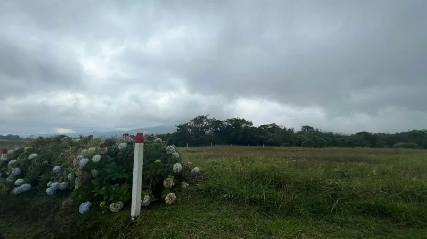 Land for Sale – Ideal to Build Your Home in the Heart of the Forest, photo 6