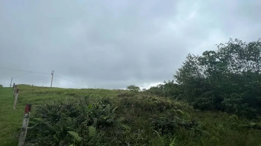 Land for Sale – Ideal to Build Your Home in the Heart of the Forest, photo 8