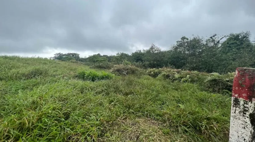 Land for Sale – Ideal to Build Your Home in the Heart of the Forest, photo 9