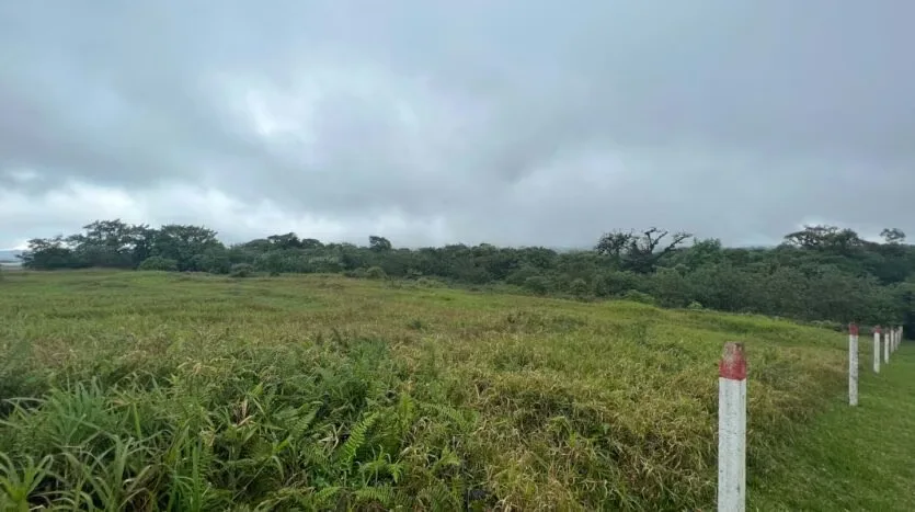 Land for Sale – Ideal to Build Your Home in the Heart of the Forest, photo 10