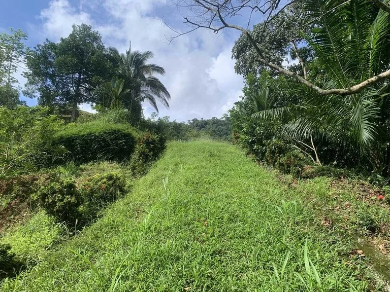 Playa Hermosa: Two Locations to Build, Permits Ready, photo 2