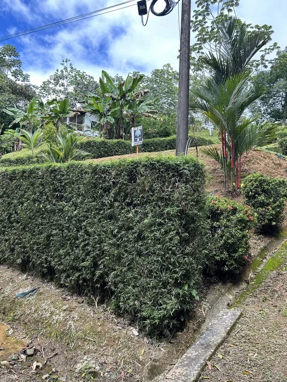 Playa Hermosa: Two Locations to Build, Permits Ready, photo 6