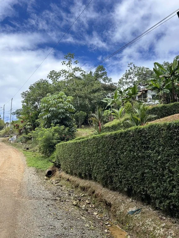 Playa Hermosa: Two Locations to Build, Permits Ready, photo 8