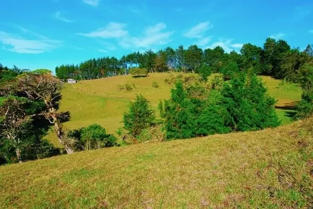 BEAUTIFUL FARM FOR SALE IN CONCEPCION DE SAN ISIDRO DE HEREDIA, photo 12