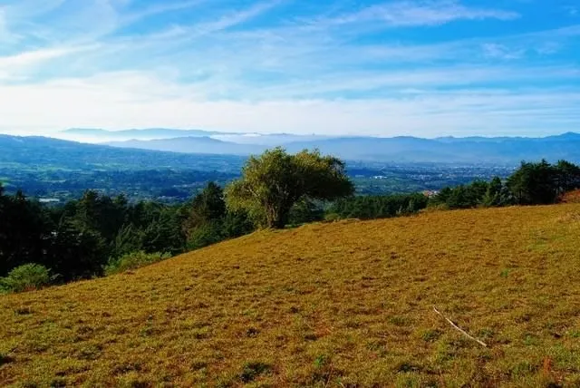 BEAUTIFUL FARM FOR SALE IN CONCEPCION DE SAN ISIDRO DE HEREDIA, photo 5