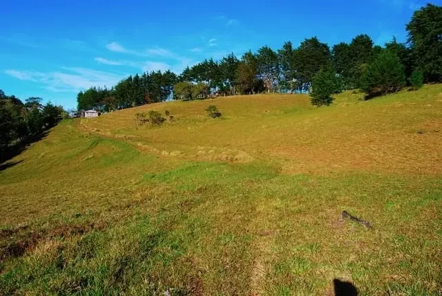 BEAUTIFUL FARM FOR SALE IN CONCEPCION DE SAN ISIDRO DE HEREDIA, photo 6