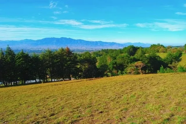 BEAUTIFUL FARM FOR SALE IN CONCEPCION DE SAN ISIDRO DE HEREDIA, photo 7