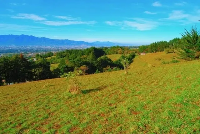 BEAUTIFUL FARM FOR SALE IN CONCEPCION DE SAN ISIDRO DE HEREDIA, photo 8
