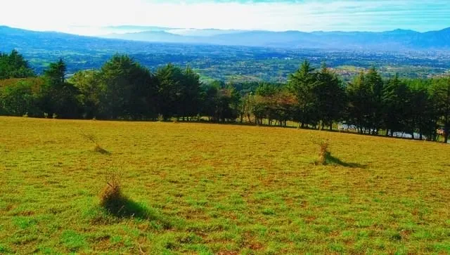 BEAUTIFUL FARM FOR SALE IN CONCEPCION DE SAN ISIDRO DE HEREDIA, photo 9