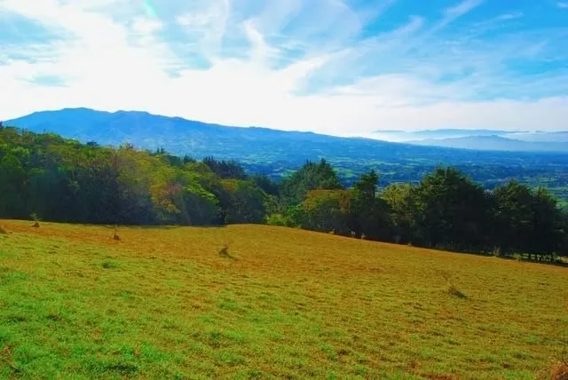 BEAUTIFUL FARM FOR SALE IN CONCEPCION DE SAN ISIDRO DE HEREDIA, photo 10