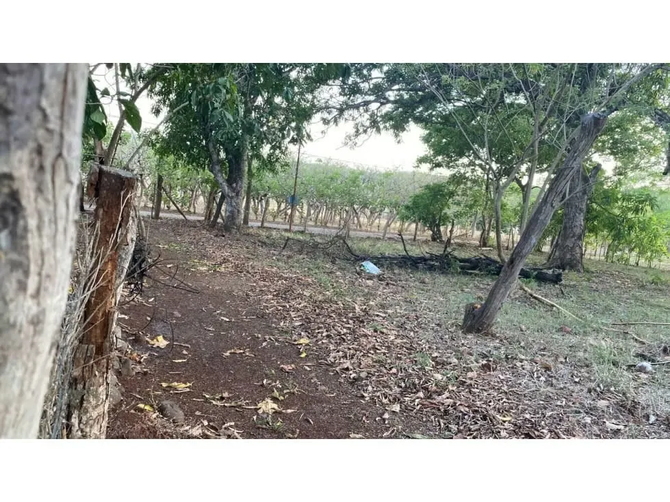 Miden: 14.080,3 m² (un lote de 1.256 m² + un lote de 12.824,30 m²), photo 2
