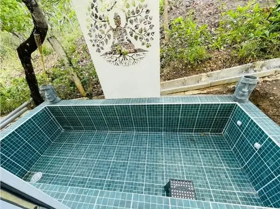 VENTA DE QUINTA CON CASA, SAN JOSÉ, SAN PEDRO, TURRUBARES, photo 8