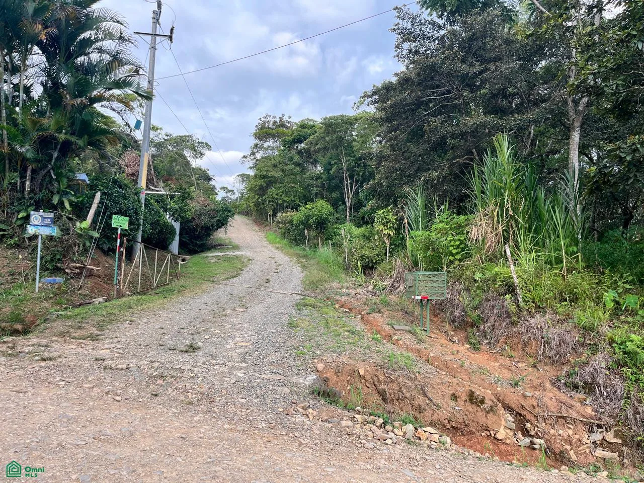 ?? Quinta GAIA 1| Lote de 1 hectárea en Morazán de Pérez Zeledón, photo 3