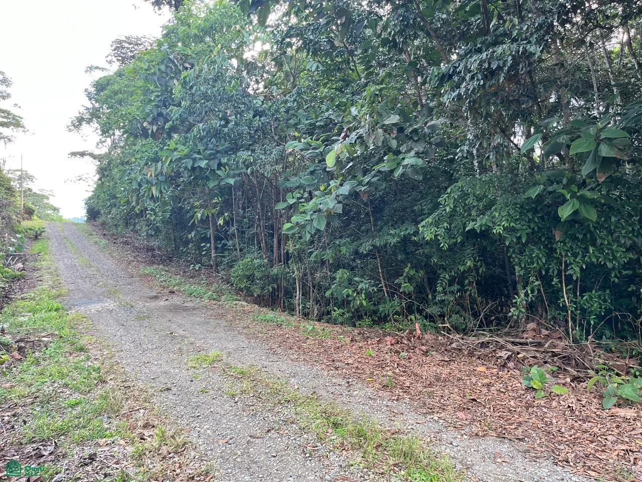 ?? Quinta GAIA 1| Lote de 1 hectárea en Morazán de Pérez Zeledón, photo 5
