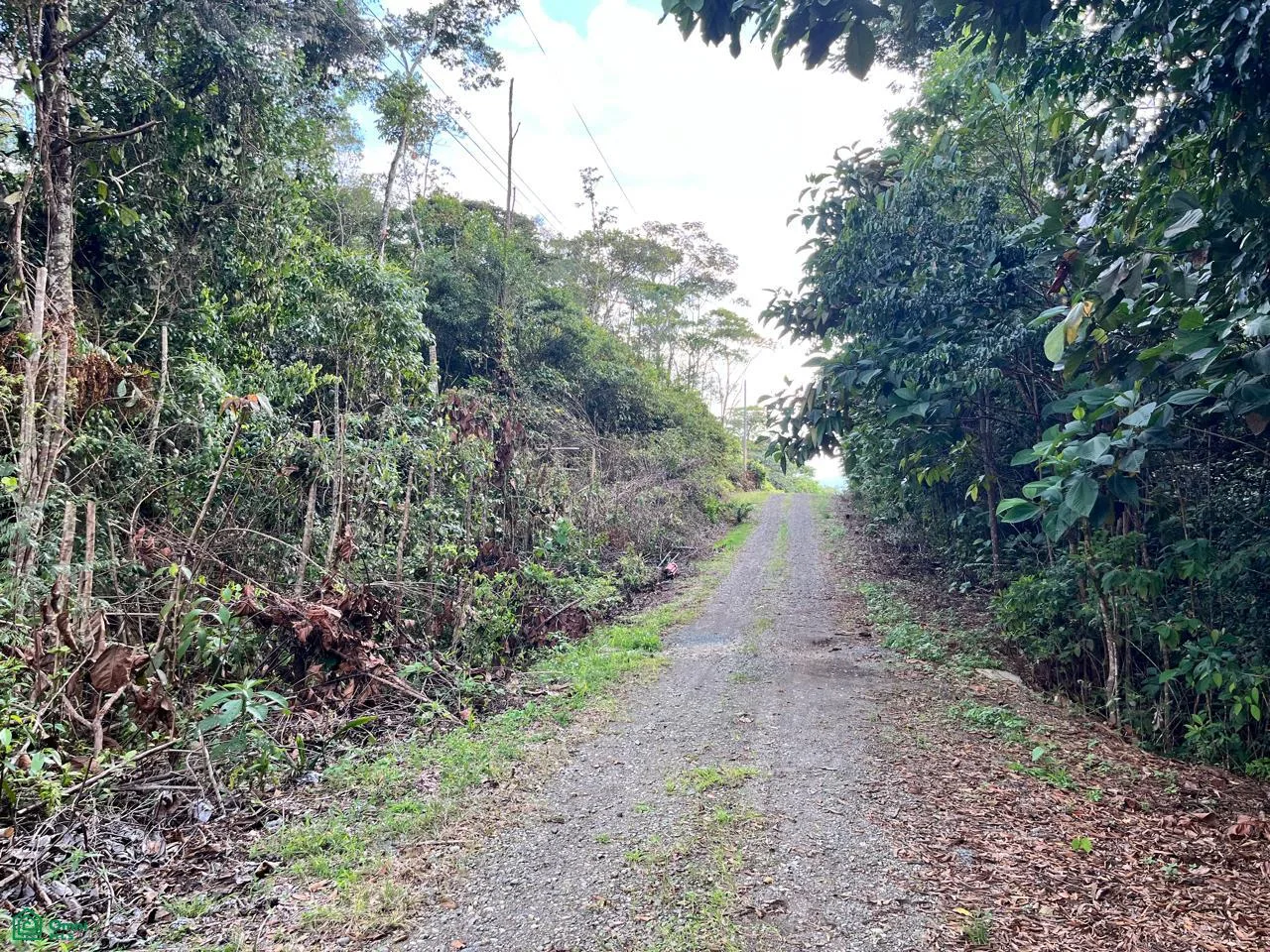 ?? Quinta GAIA 1| Lote de 1 hectárea en Morazán de Pérez Zeledón, photo 6