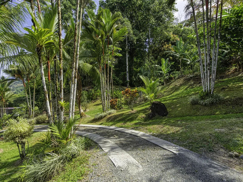 3 Bed Single Family Homes For Sale in Perez Zeledon, photo 10