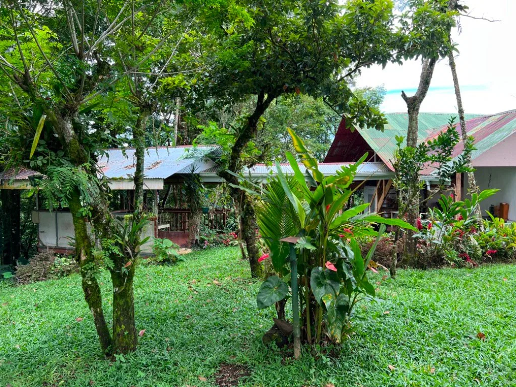 VENTA DE QUINTA DE 5.000 M2 CON ACCESO AL RIO PEÑAS BLANCAS Y RANCHO EN SANTA ELENA, PEREZ ZELEDON - Venta en Pérez Zeledón, photo 11
