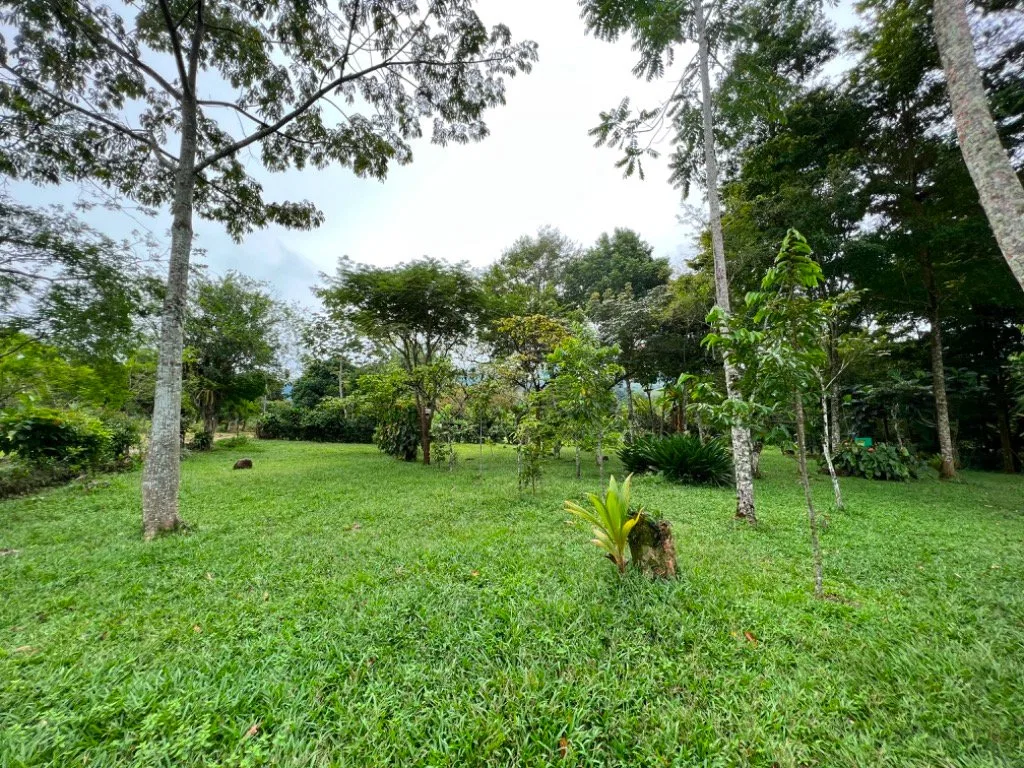 VENTA DE QUINTA DE 5.000 M2 CON ACCESO AL RIO PEÑAS BLANCAS Y RANCHO EN SANTA ELENA, PEREZ ZELEDON - Venta en Pérez Zeledón, photo 13