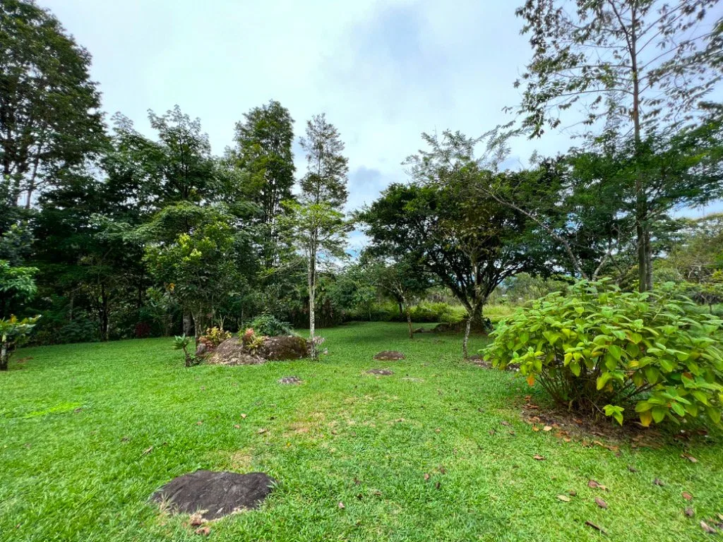 VENTA DE QUINTA DE 5.000 M2 CON ACCESO AL RIO PEÑAS BLANCAS Y RANCHO EN SANTA ELENA, PEREZ ZELEDON - Venta en Pérez Zeledón, photo 5