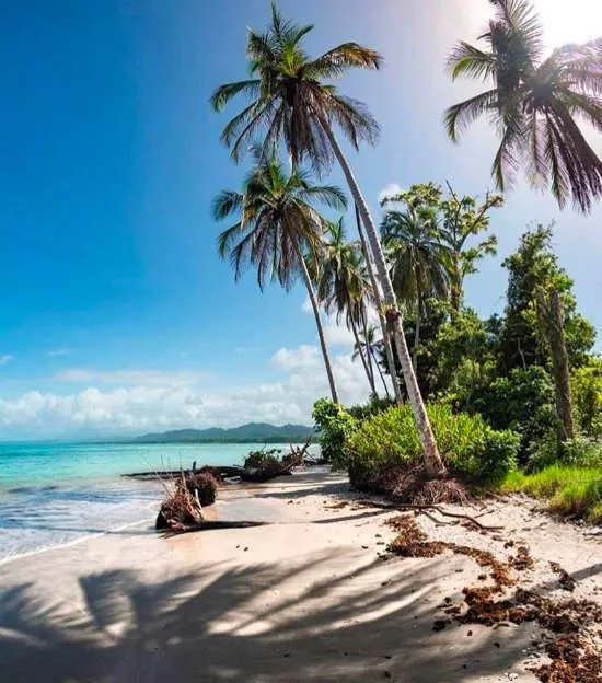 Cahuita  Land Opportunity